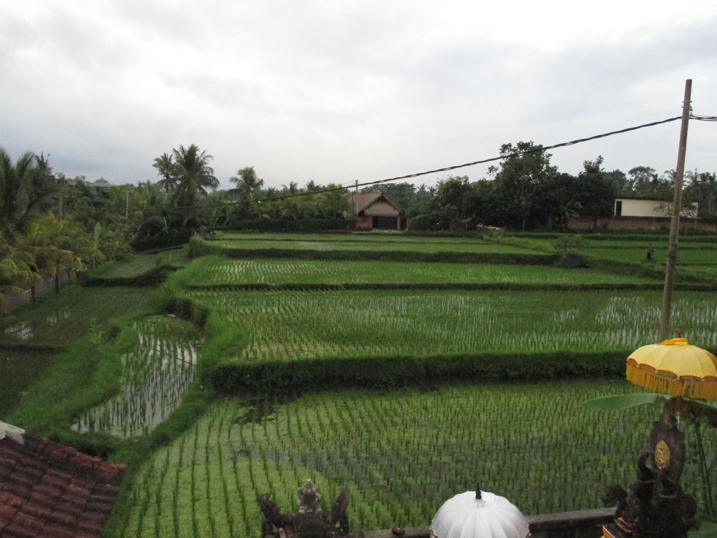Ancut Sari Hotel Ubud Exterior foto